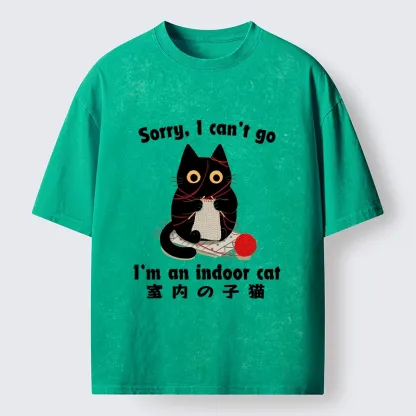 Tokyo‑Tiger Indoor Cat Meme Washed T‑Shirt