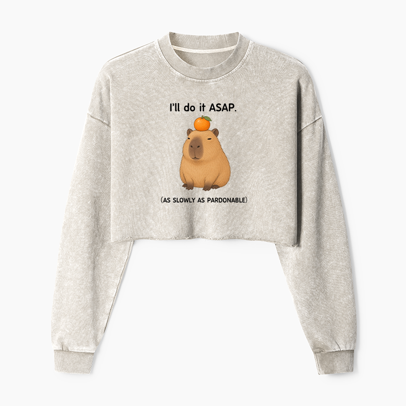 Tokyo-Tiger Slow Task Capybara Meme Washed Crop Sweatshirt