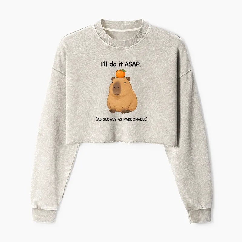 Tokyo-Tiger Slow Task Capybara Meme Washed Crop Sweatshirt