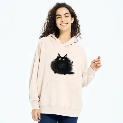 Tokyo-Tiger Cat's Approval Washed Hoodie