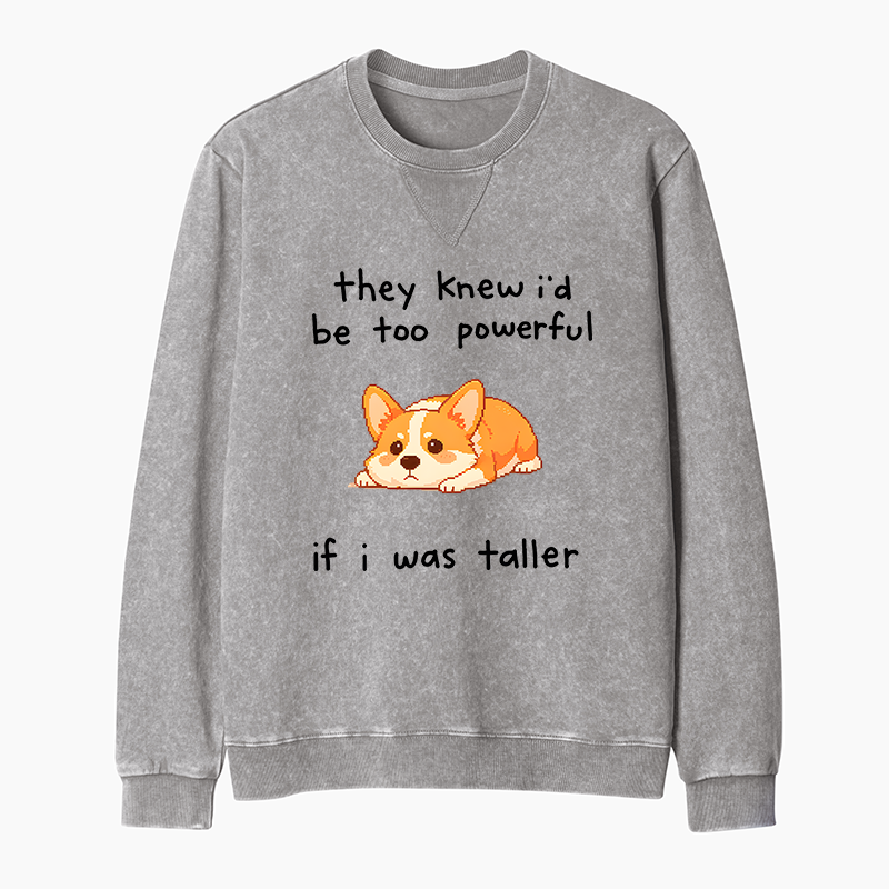 Tokyo-Tiger Funny Short Dog Joke Washed Terry Sweatshirt