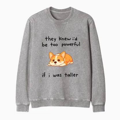 Tokyo-Tiger Funny Short Dog Joke Washed Terry Sweatshirt