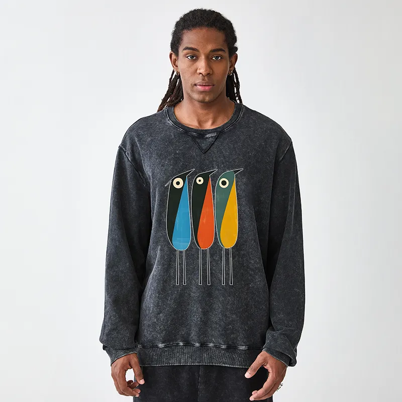 Tokyo-Tiger Bold Shape Birds Washed Terry Sweatshirt