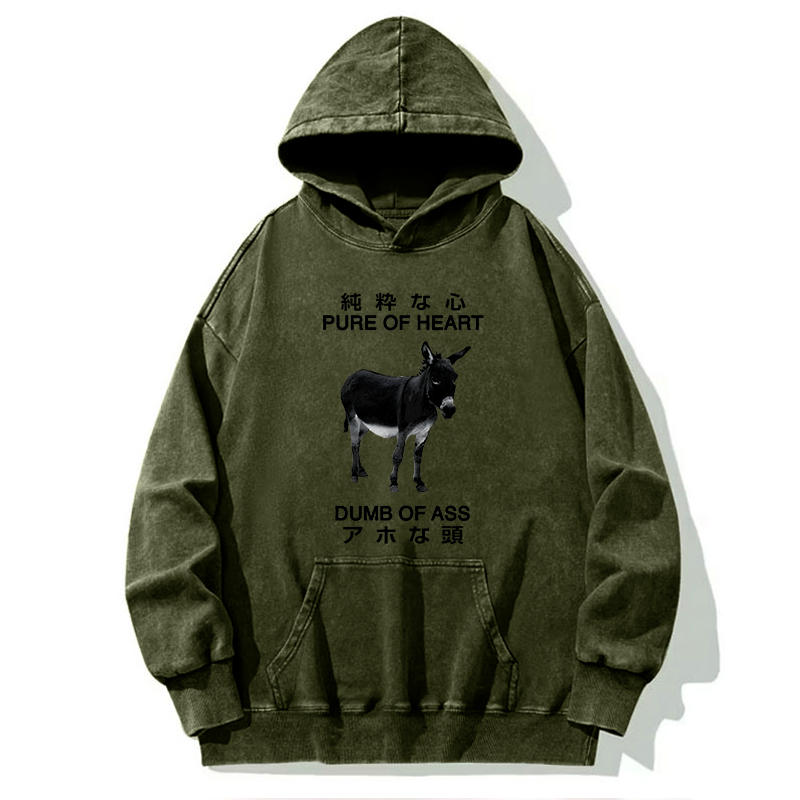 Tokyo-Tiger Pure Of Heart Dumb Of Ass Washed Hoodie