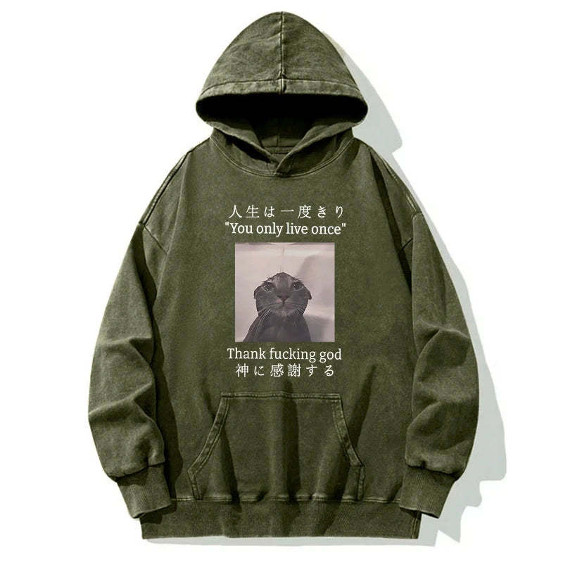 Tokyo-Tiger Funny Melancholy Cat Washed Hoodie