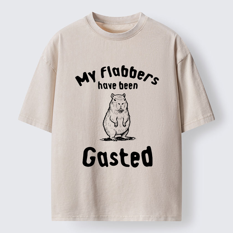 Tokyo-Tiger My Flabbers Have Been Gasted Capybara Washed T-Shirt