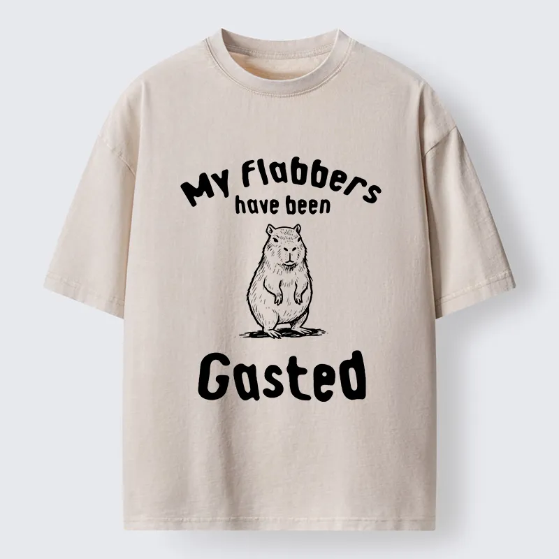 Tokyo-Tiger My Flabbers Have Been Gasted Capybara Washed T-Shirt