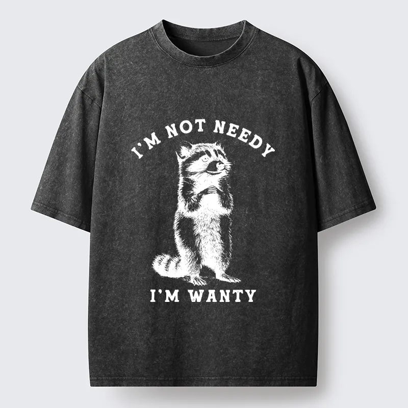 Tokyo-Tiger Raccoon's Prayer Washed T-Shirt