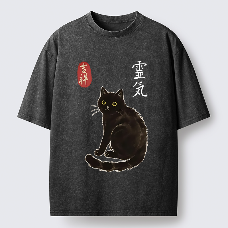 Tokyo-Tiger Japanese Black Cat Washed T-Shirt