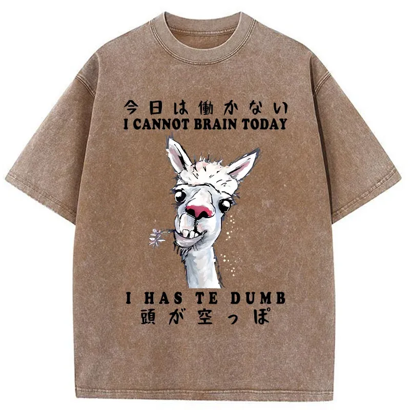 Tokyo-Tiger Empty-headed Alpaca Washed T-Shirt