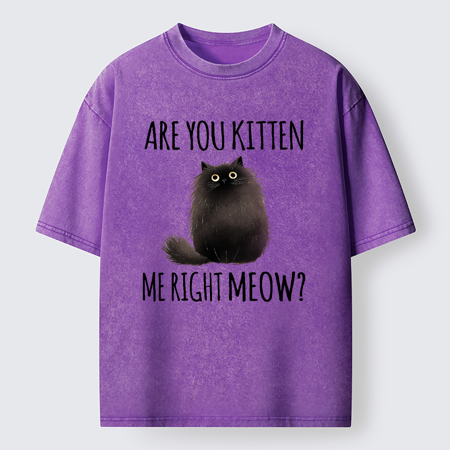 Tokyo-Tiger Kitten Me Right Meow Washed T-Shirt