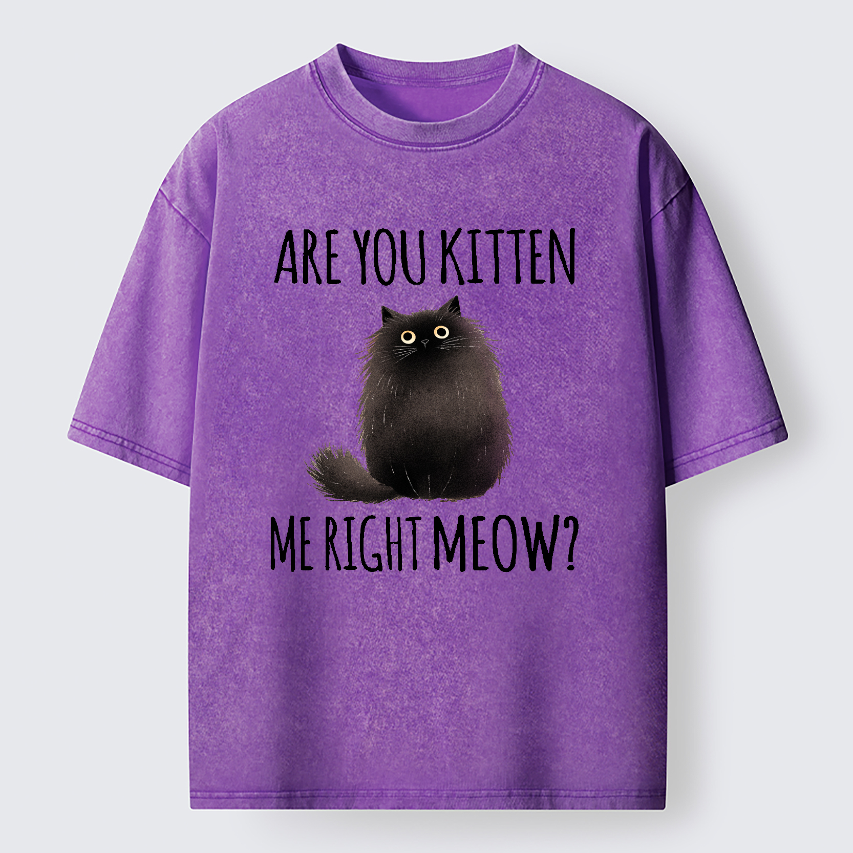 Tokyo-Tiger Kitten Me Right Meow Washed T-Shirt