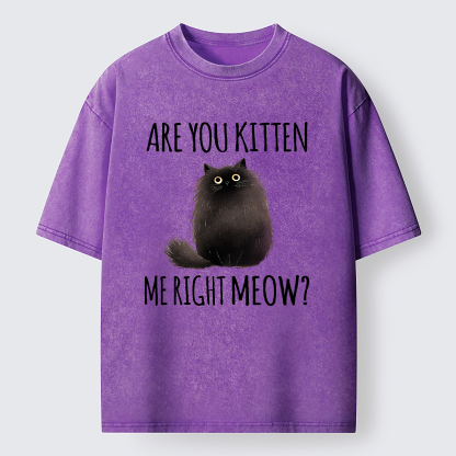 Tokyo-Tiger Kitten Me Right Meow Washed T-Shirt