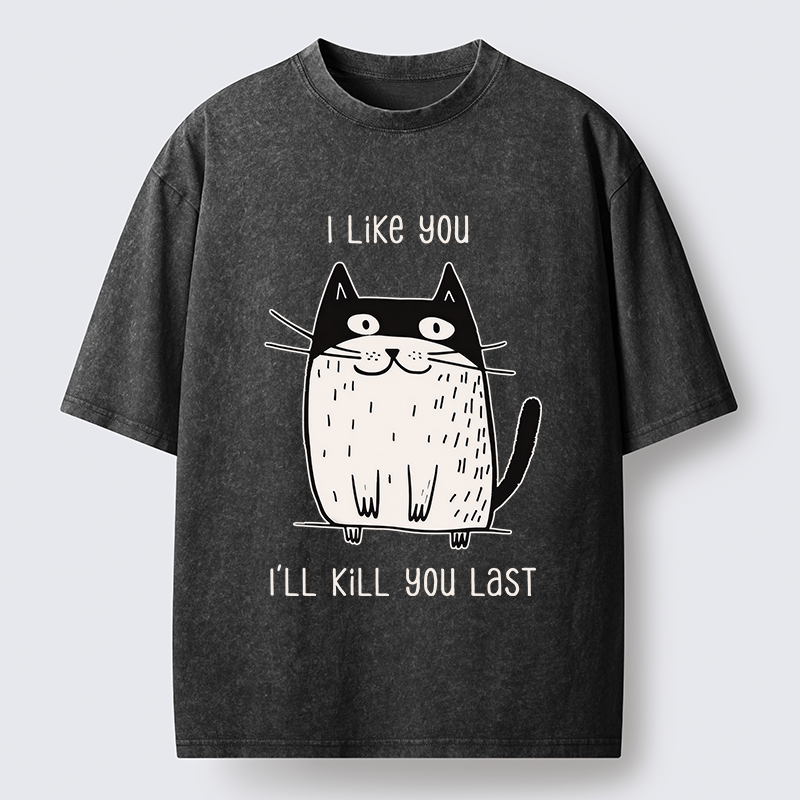 Tokyo-Tiger Cats Both Love And Hate Washed T-Shirt