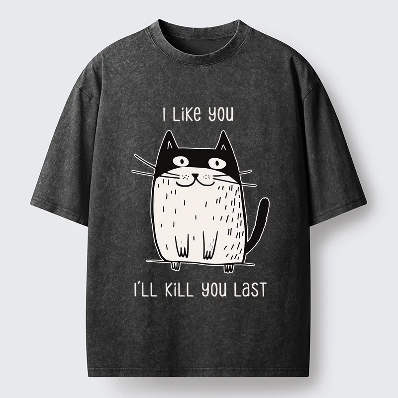 Tokyo-Tiger Cats Both Love And Hate Washed T-Shirt