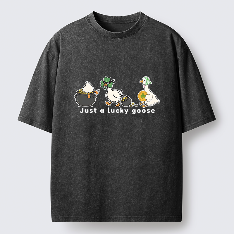 Tokyo-Tiger Just A Lucky Goose Meme Washed T-Shirt