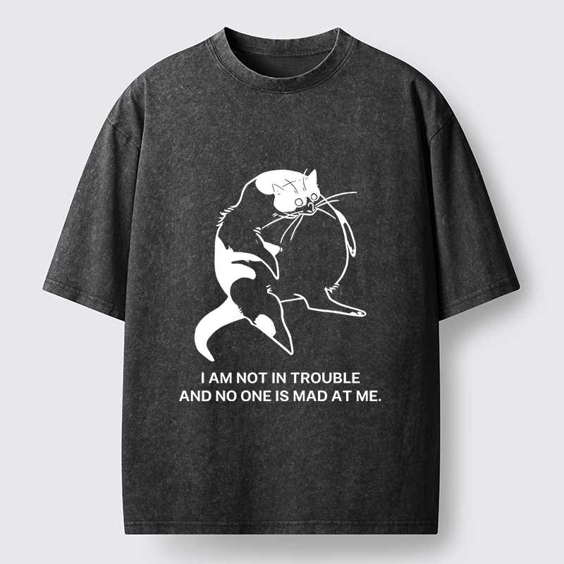 Tokyo-Tiger Introverted Kitten Japan Washed T-Shirt