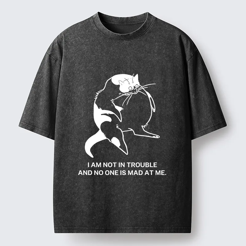 Tokyo-Tiger Introverted Kitten Japan Washed T-Shirt