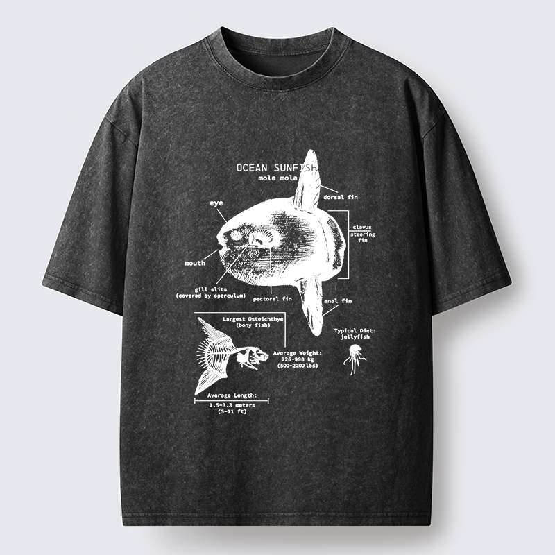 Tokyo-Tiger Sunfish Funny Washed T-Shirt