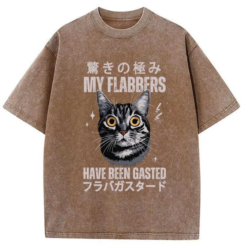 Tokyo-Tiger My Flabbers Have Been Gasted Washed T-Shirt