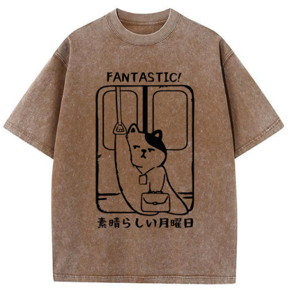 Tokyo-Tiger Great Monday Washed T-Shirt