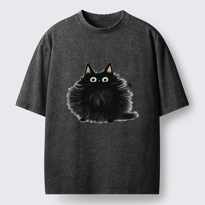 Tokyo-Tiger Cat's Approval Washed T-Shirt