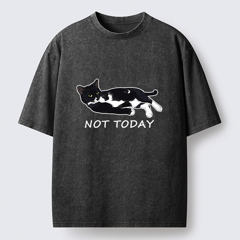 Tokyo-Tiger Cat Said Not Today Washed T-Shirt