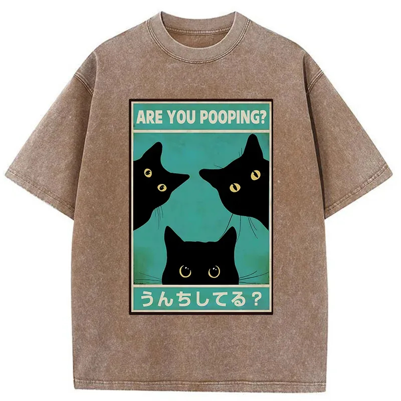 Tokyo-Tiger Cats Watching You Poop Washed T-Shirt