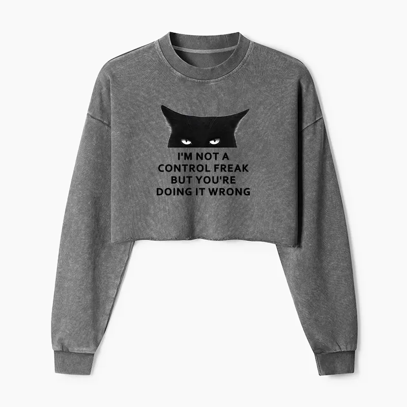 Tokyo-Tiger Control Freak Funny Washed Crop Sweatshirt
