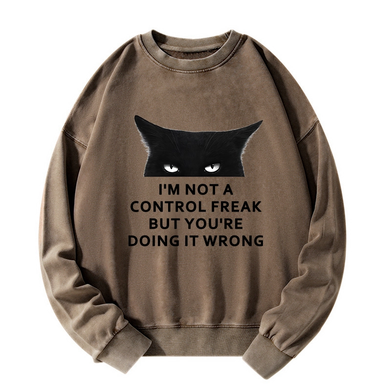 Tokyo-Tiger Control Freak Funny Washed Sweatshirt
