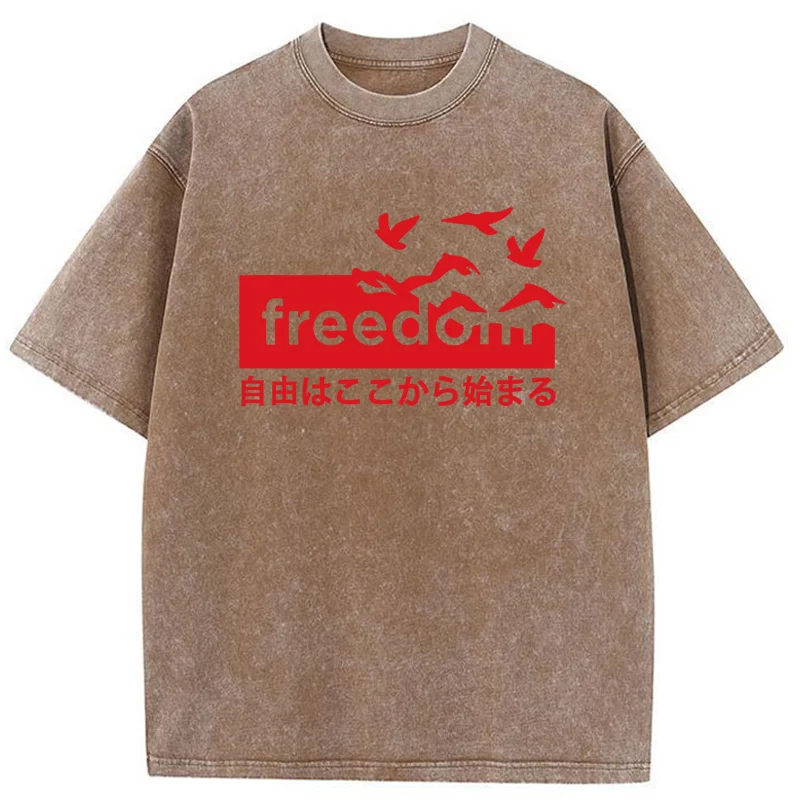 Tokyo-Tiger Freedom Japanese Washed T-Shirt