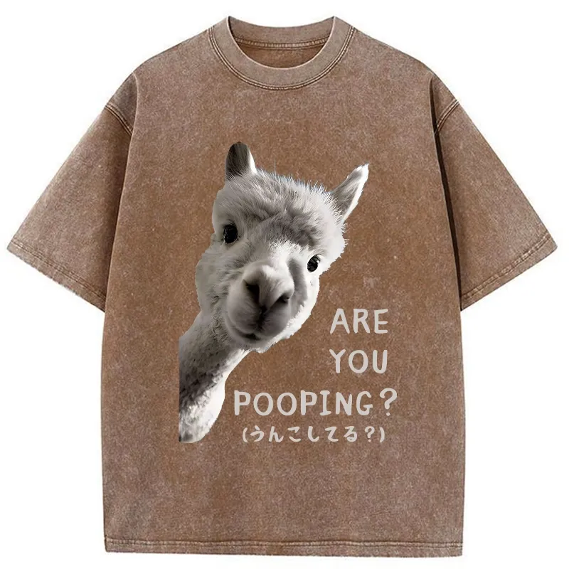 Tokyo-Tiger Are You Pooping Washed T-Shirt