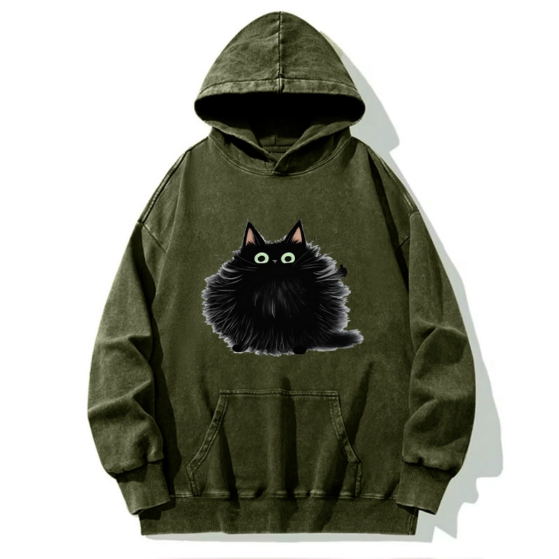 Tokyo-Tiger Cat's Approval Washed Hoodie