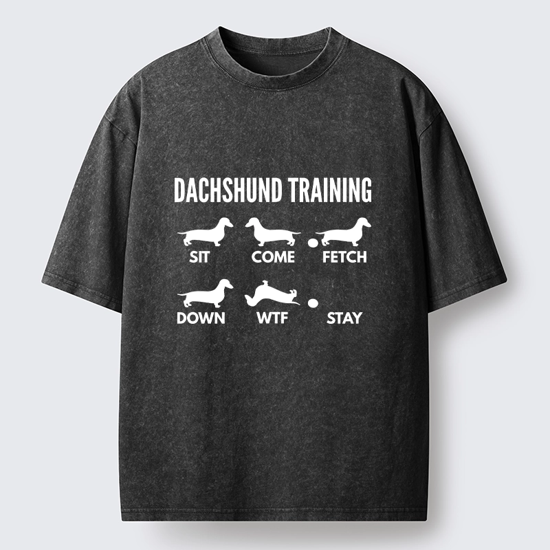 Tokyo-Tiger Chaotic Dachshund Commands Meme Washed T-Shirt