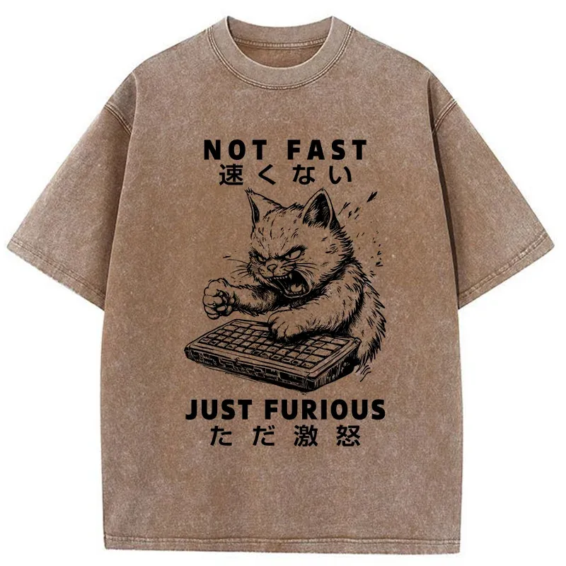 Tokyo-Tiger Not Fast Just Furious Washed T-Shirt