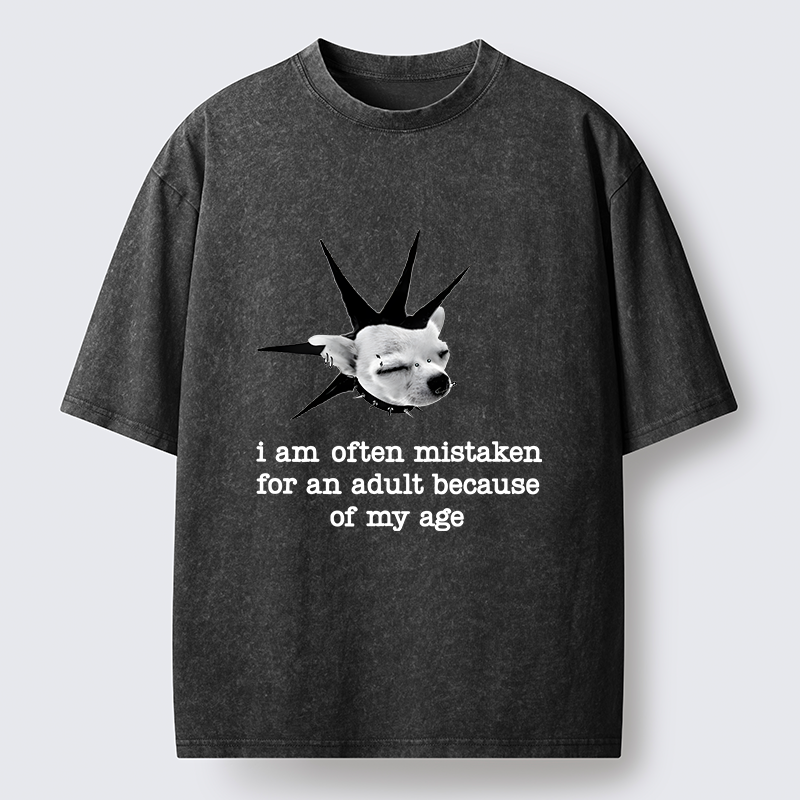 Tokyo-Tiger My Mental Age Is Very Young Washed T-Shirt