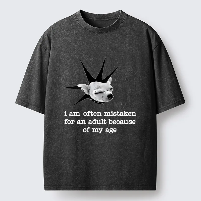 Tokyo-Tiger My Mental Age Is Very Young Washed T-Shirt