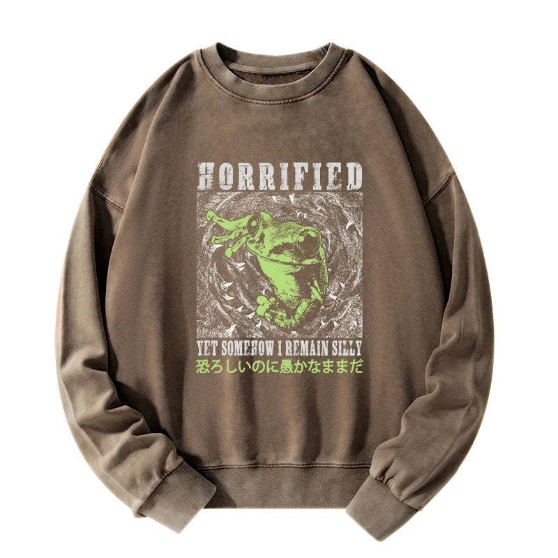 Tokyo-Tiger Silly Frog Japanese Washed Sweatshirt