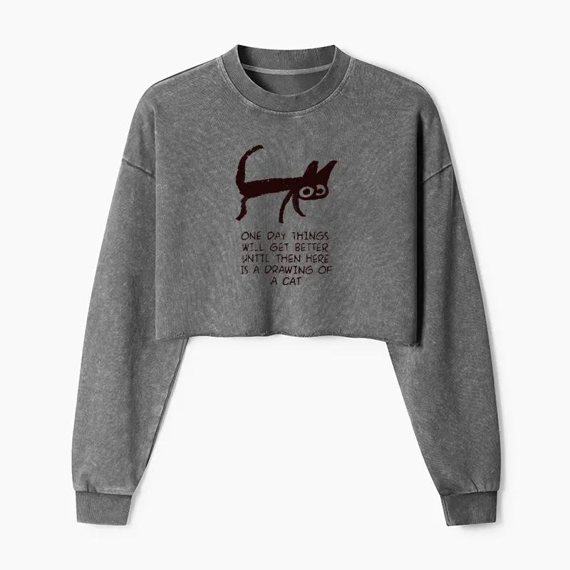 Tokyo-Tiger Cat Cheer Up Drawing Washed Crop Sweatshirt