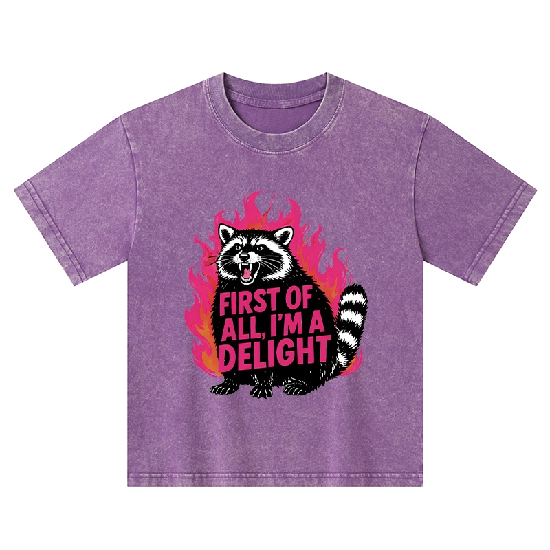Tokyo-Tiger Angry Raccoon Funny Kids Washed T-Shirt