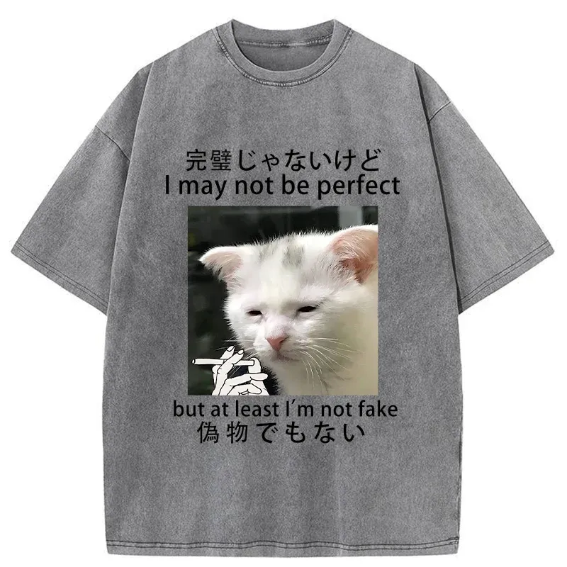 Tokyo-Tiger Cat Lamenting Life Washed T-Shirt