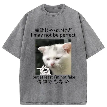 Tokyo-Tiger Cat Lamenting Life Washed T-Shirt
