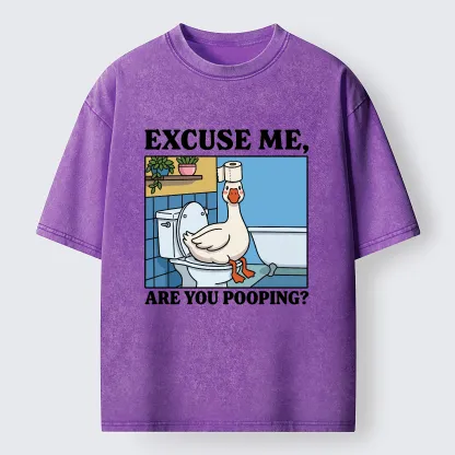 Tokyo-Tiger Are You Pooping Funny Washed T-Shirt