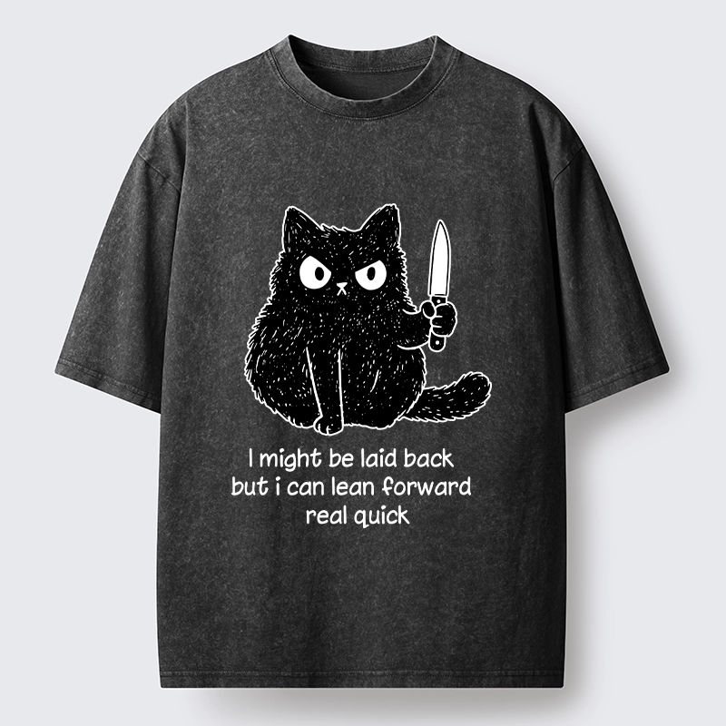 Tokyo-Tiger Dont Mess With This Cat Washed T-Shirt