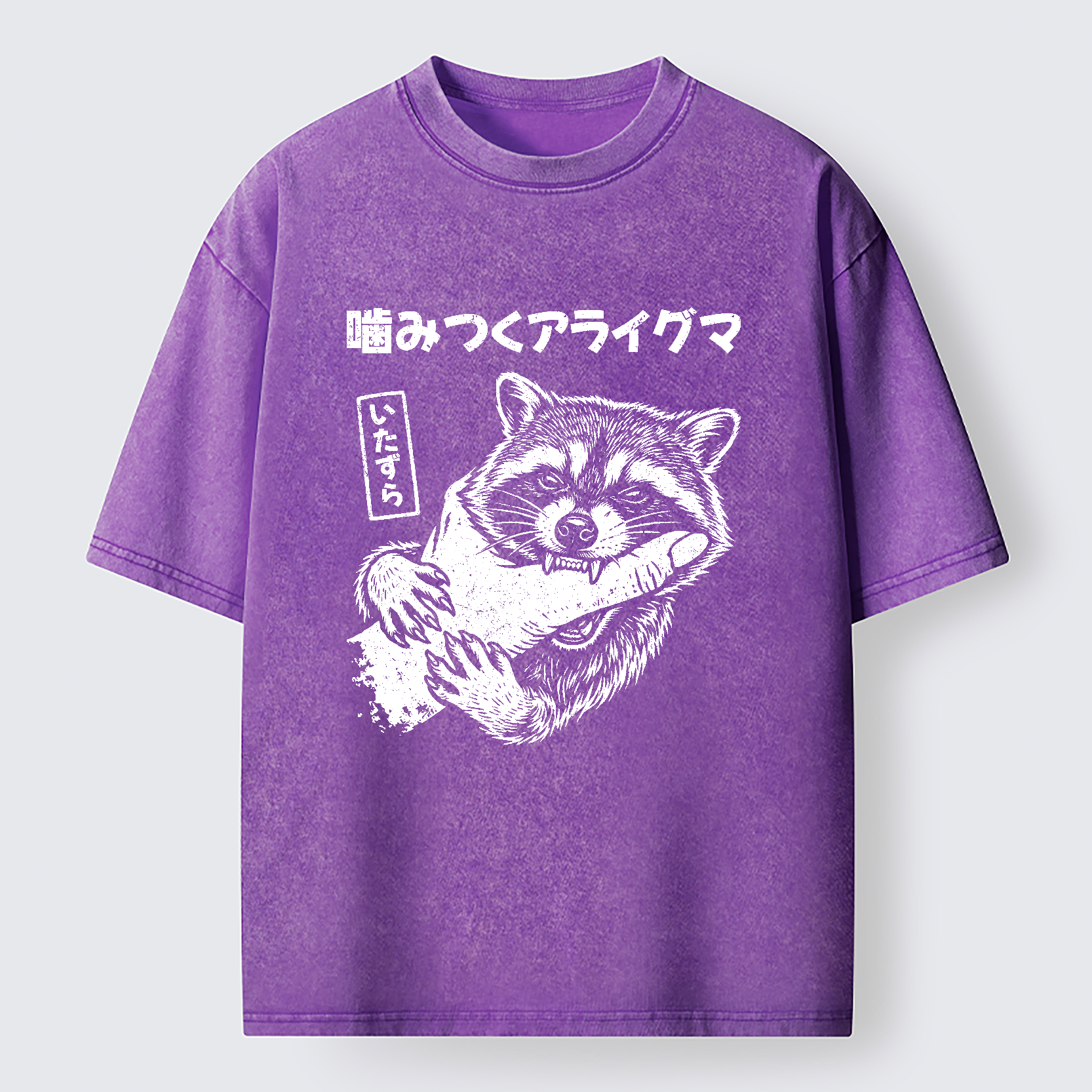 Tokyo-Tiger Naughty Raccoon Washed T-Shirt