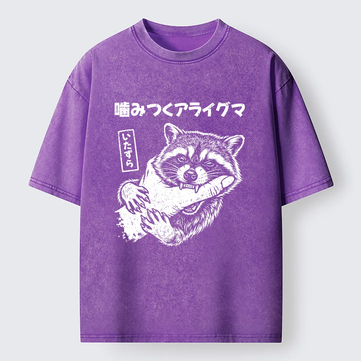 Tokyo-Tiger Naughty Raccoon Washed T-Shirt