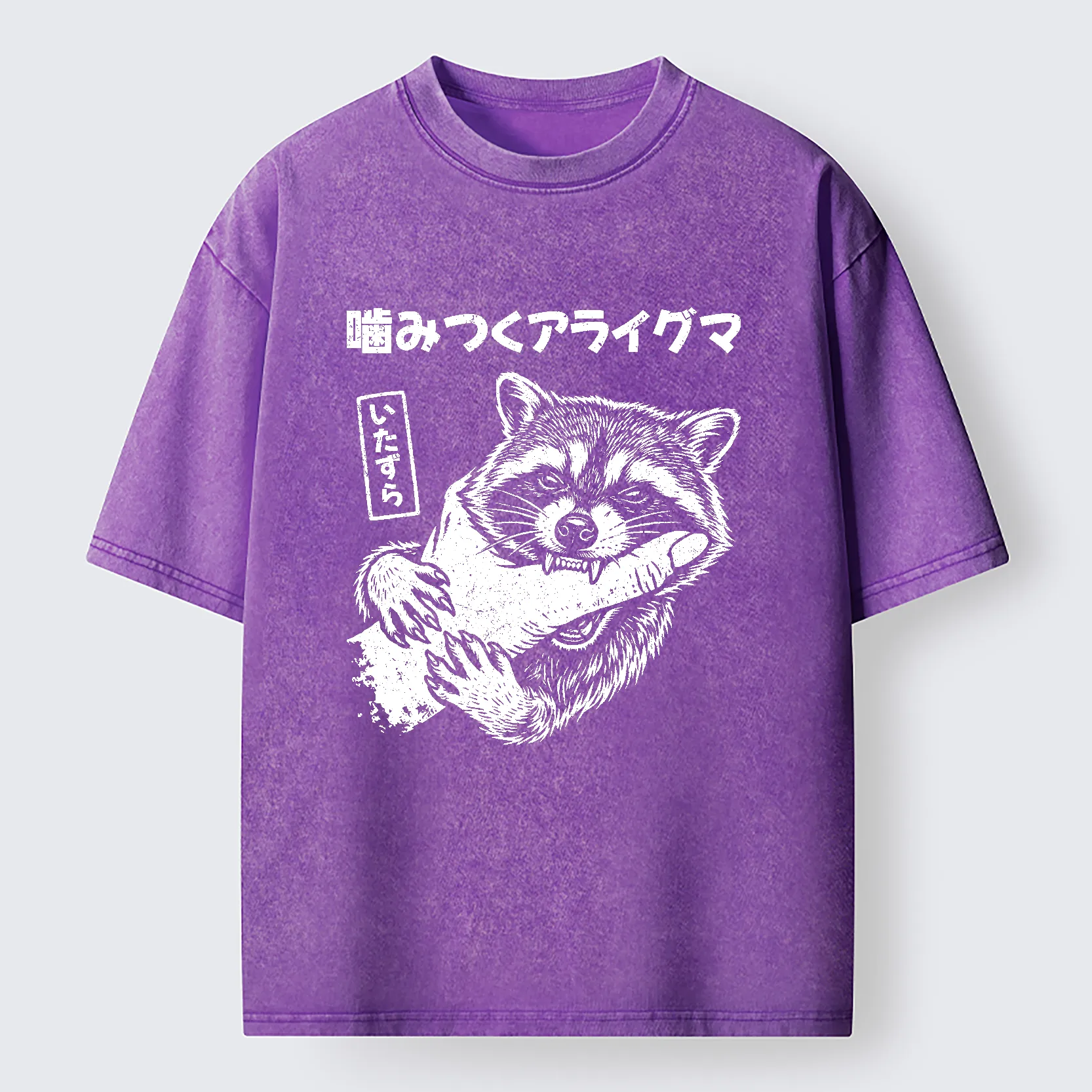 Tokyo-Tiger Naughty Raccoon Washed T-Shirt