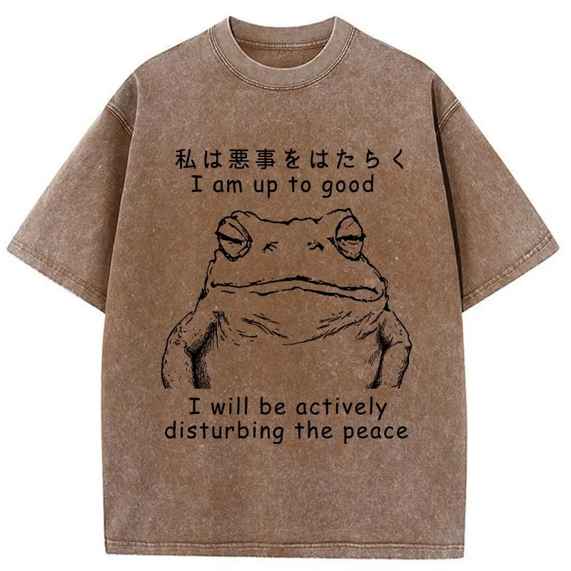 Tokyo-Tiger Frog Disturbs The Peace Washed T-Shirt Sale