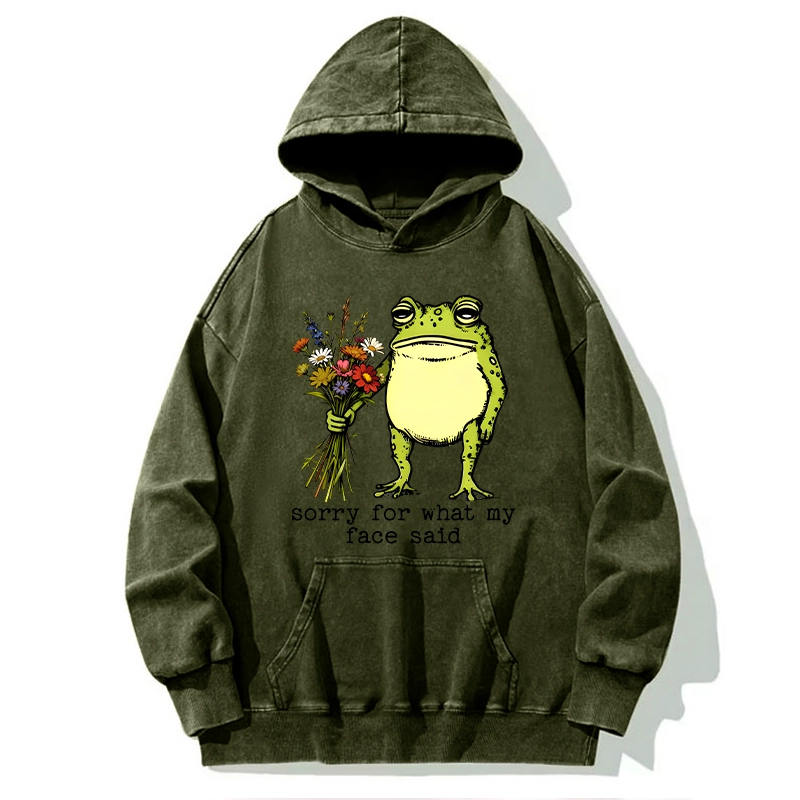 Tokyo-Tiger Frog Sorry Mode Activated Washed Hoodie
