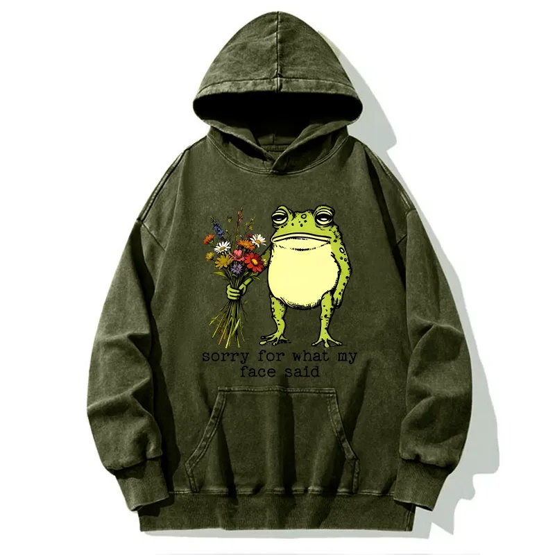 Tokyo-Tiger Frog Sorry Mode Activated Washed Hoodie